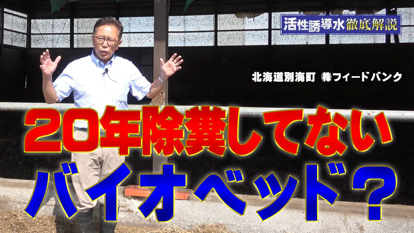 【20年除糞なし】牛のお腹もふん尿にも良いバイオベッドとは？【DNW313】