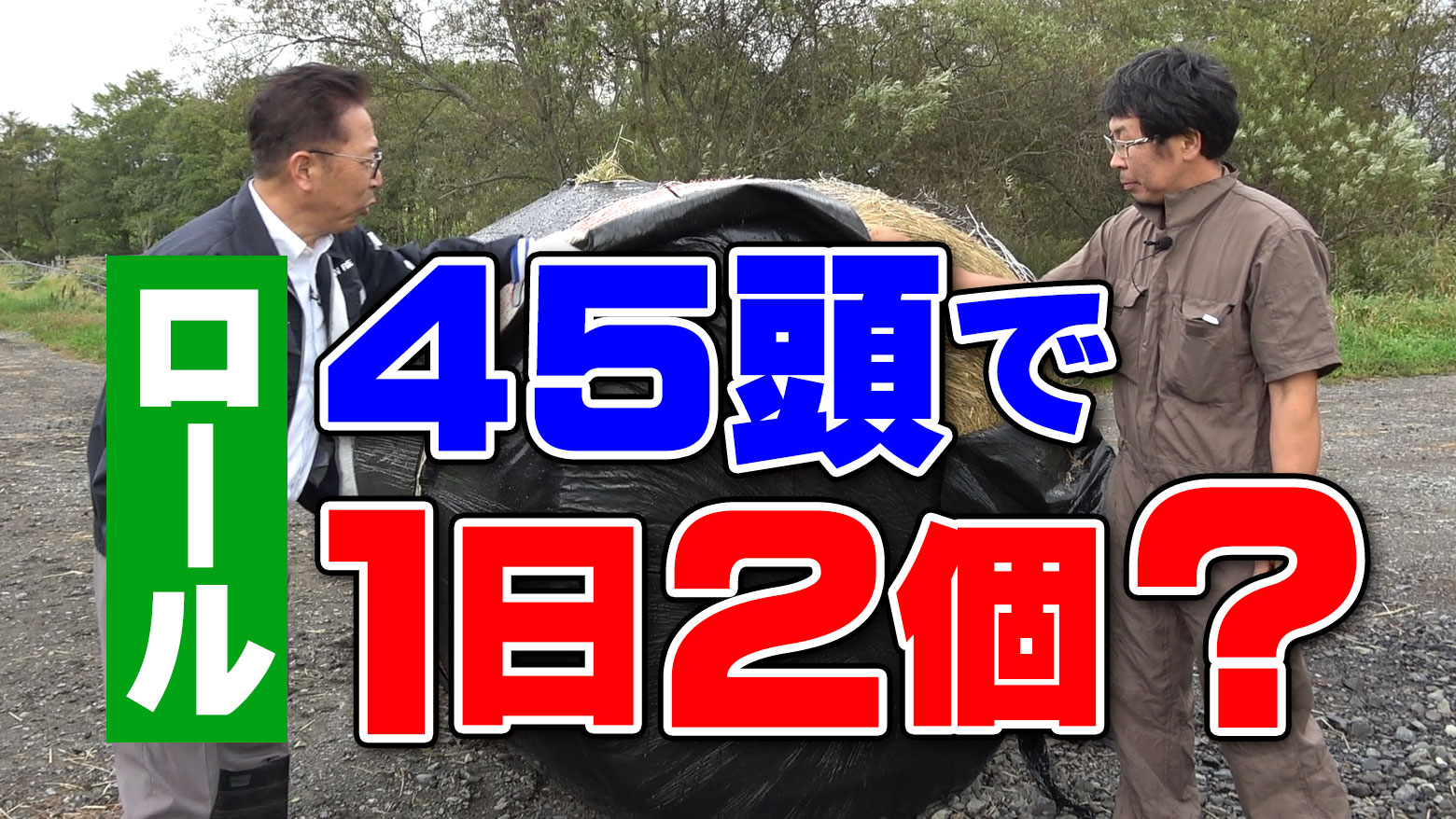 【どんなロール？】食べ過ぎ！４５頭でロール２個？！【DNW316】