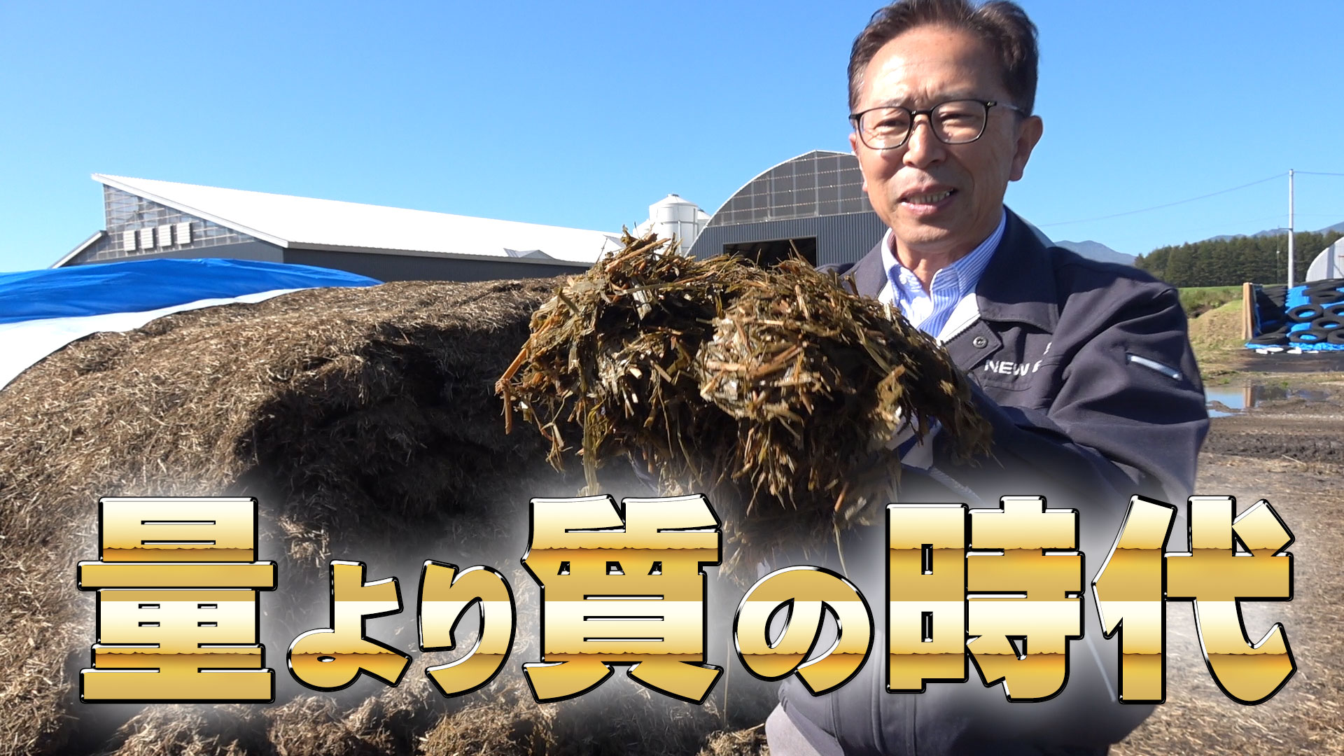 【2023年 第3弾】活性誘導水＋ＢＳ添加サイレージの出来は？質より量の時代【DNW317】