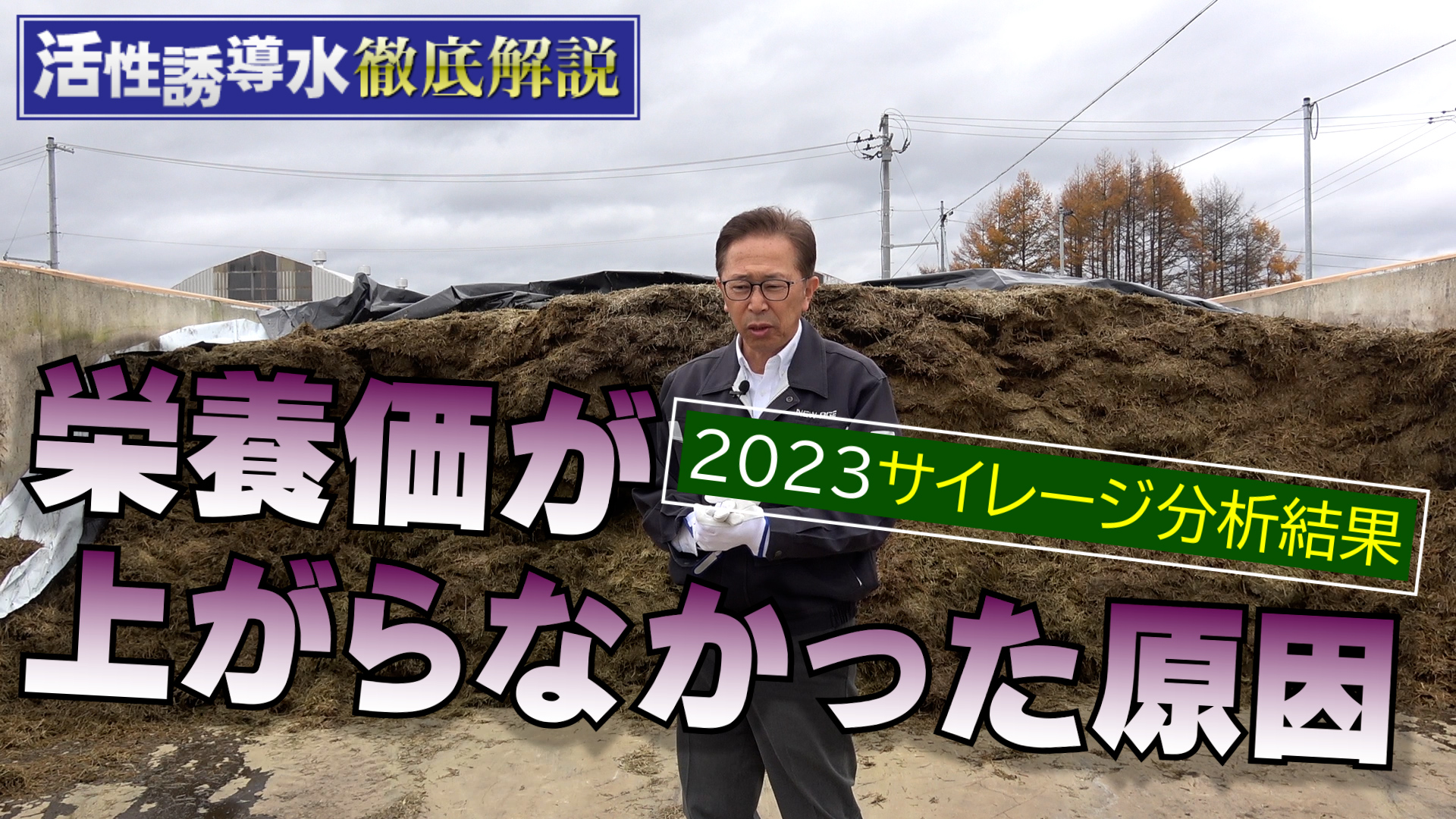 【2023サイレージ分析・第2弾】昨年から土壌が激変し始めた結果【DNW321】