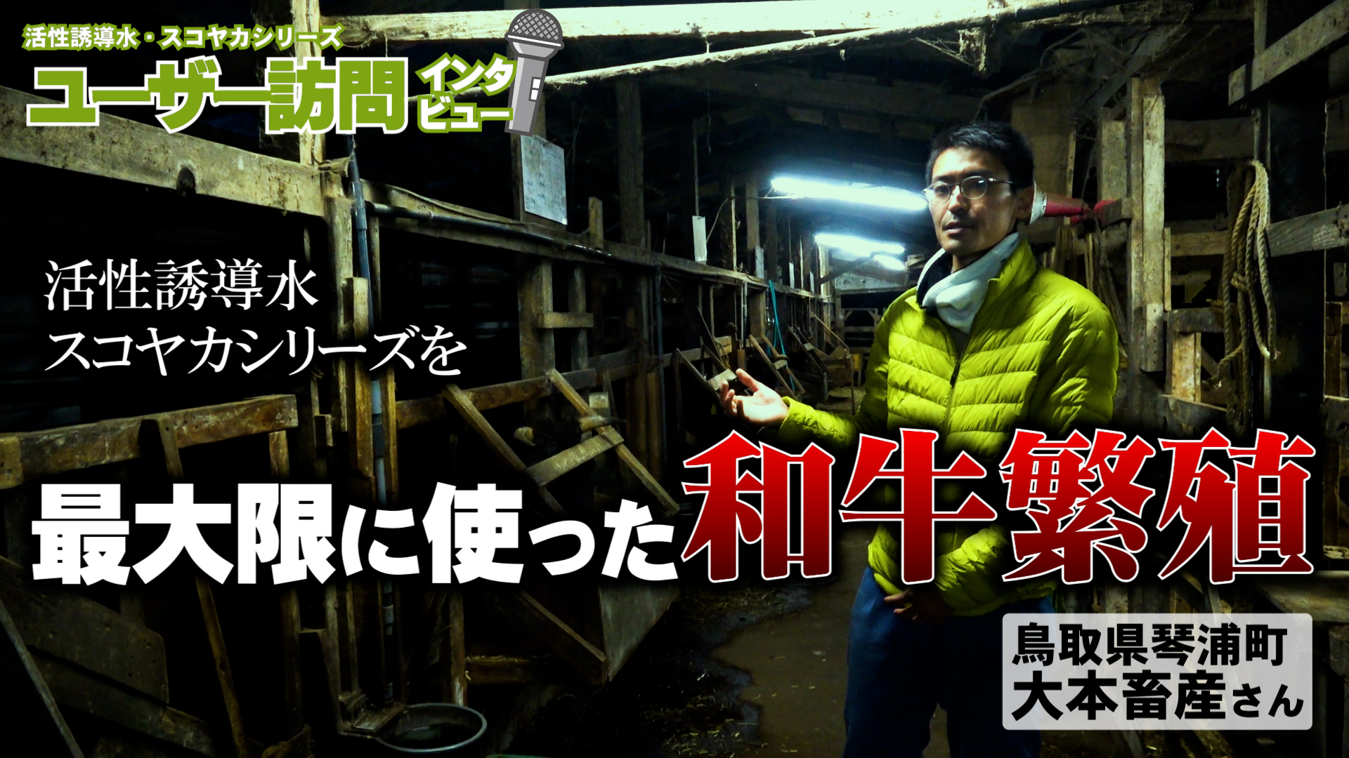 【ユーザー訪問】飼料米の発酵飼料の作り方！その効果とは？活性誘導水・スコヤカを最大限使った和牛繁殖【DNW322】