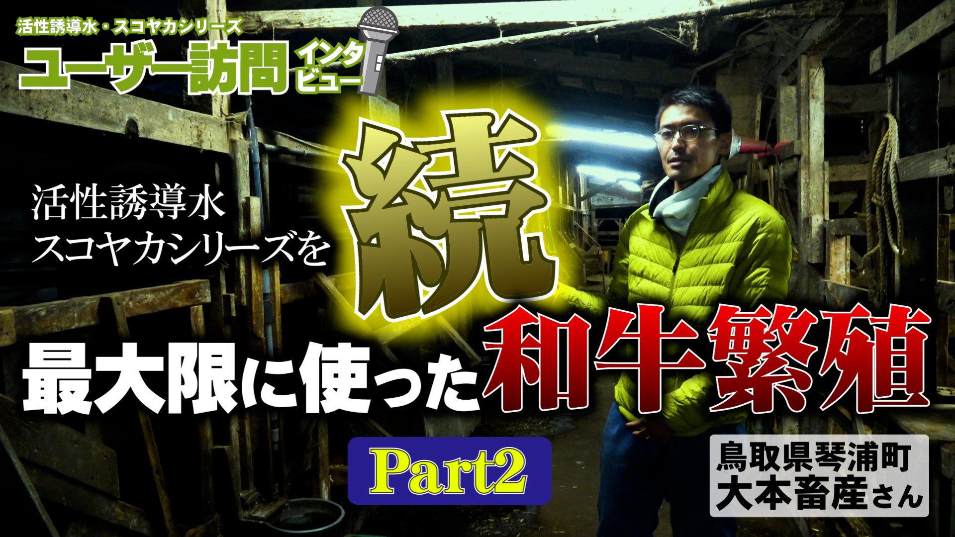 【ユーザー訪問】初乳が緑色の親牛が子牛を蹴る？親牛や子牛の驚く変化とは？【DNW323】