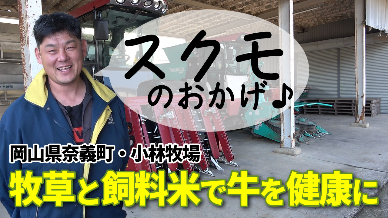 【2024元旦】牧草と飼料米で牛を健康に【DNW327】