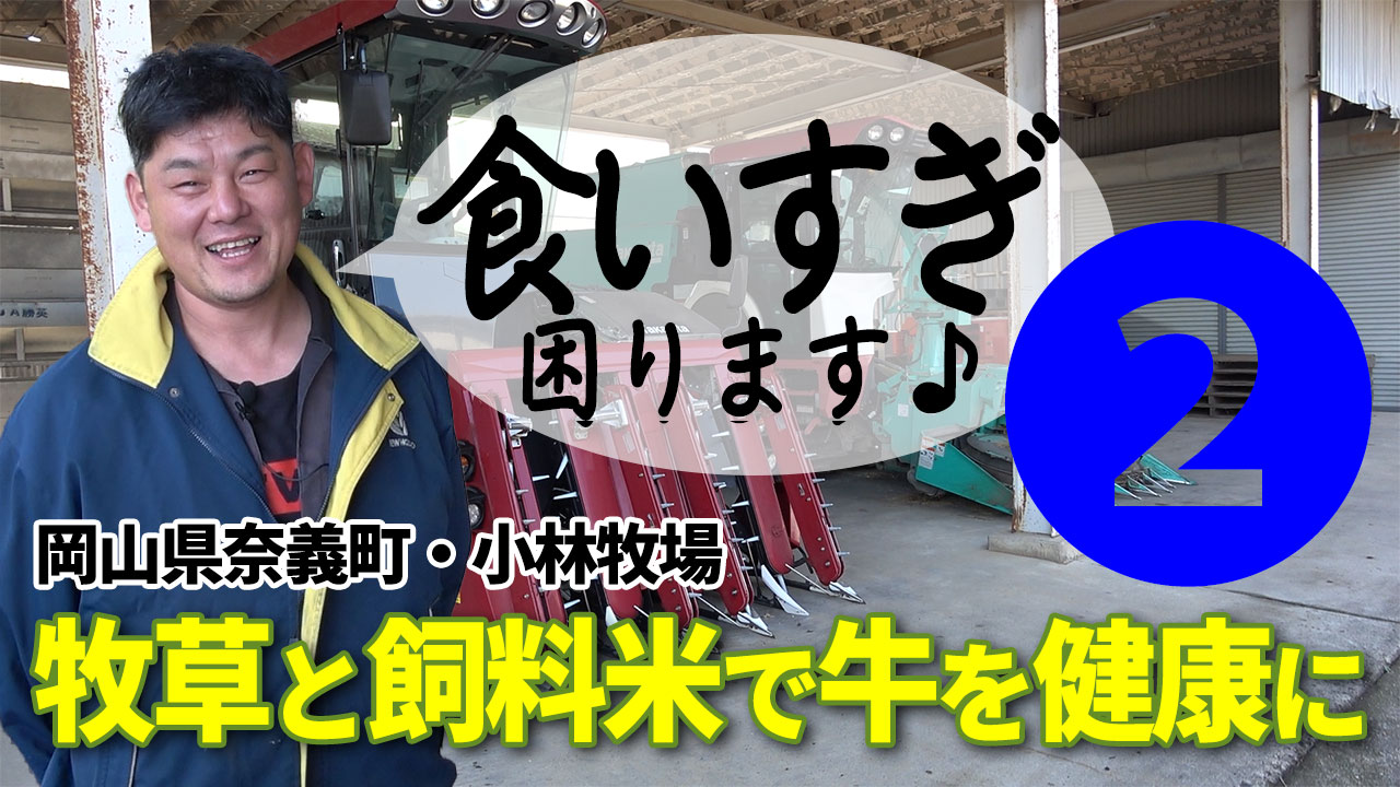 コレは乳量◯◯キロのメニューじゃない！【DNW328】