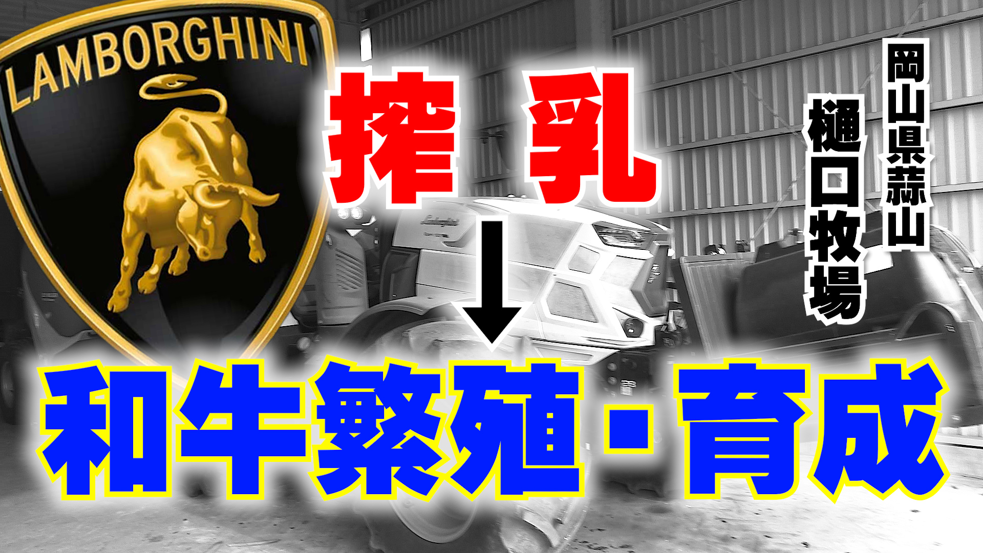 【新築牛舎】搾乳から和牛繁殖・育成事業に変更した理由【DNW325】