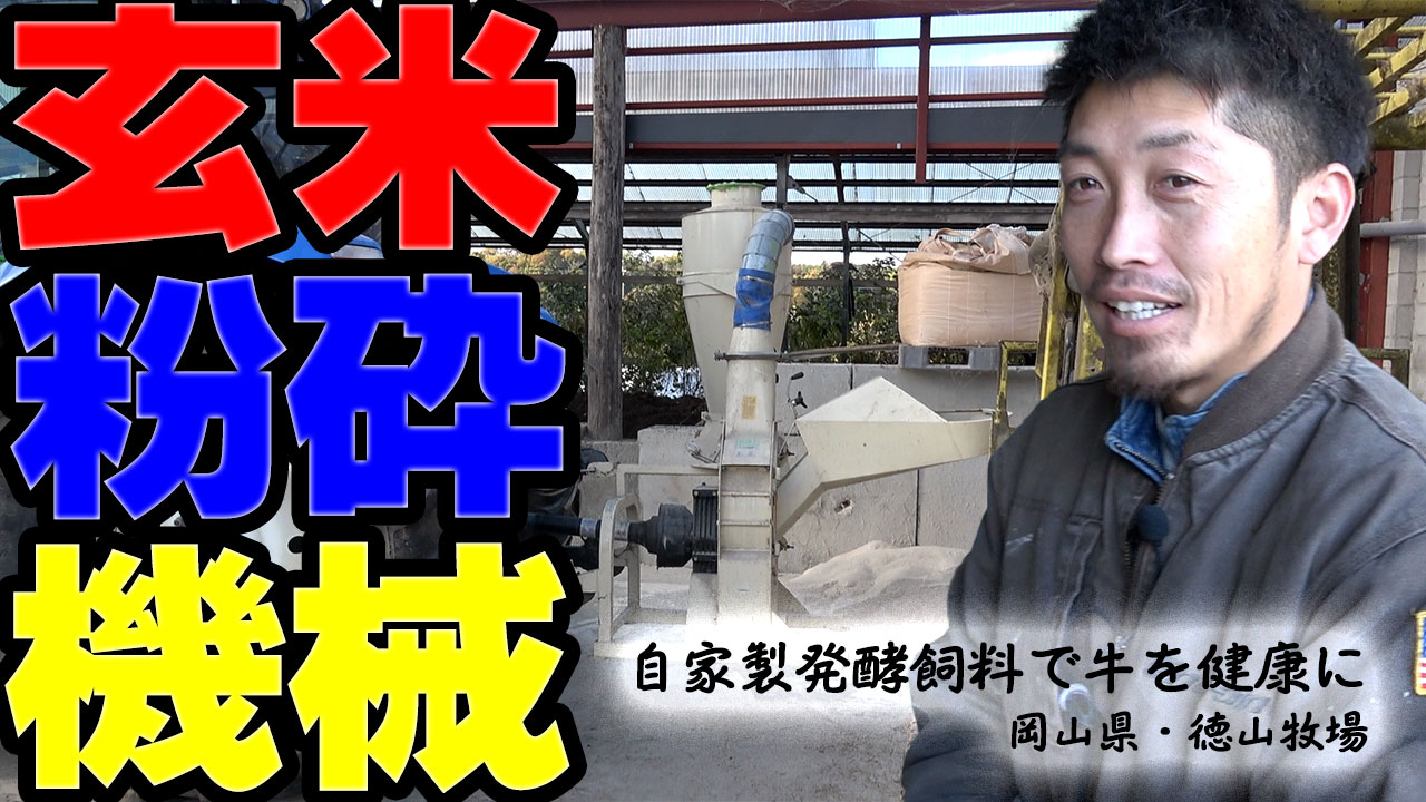 【自家製発酵飼料】夏の種付けが９割超え？【DNW329】