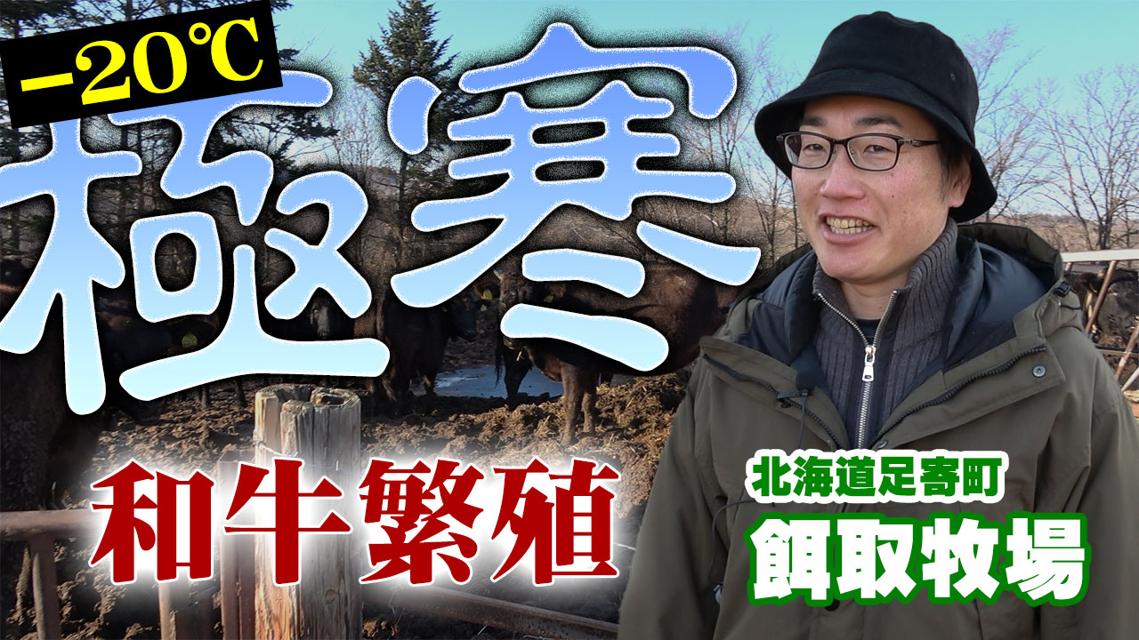 【極寒-20℃】和牛を元気に育てる方法～北海道足寄町・餌取農場【DNW330】
