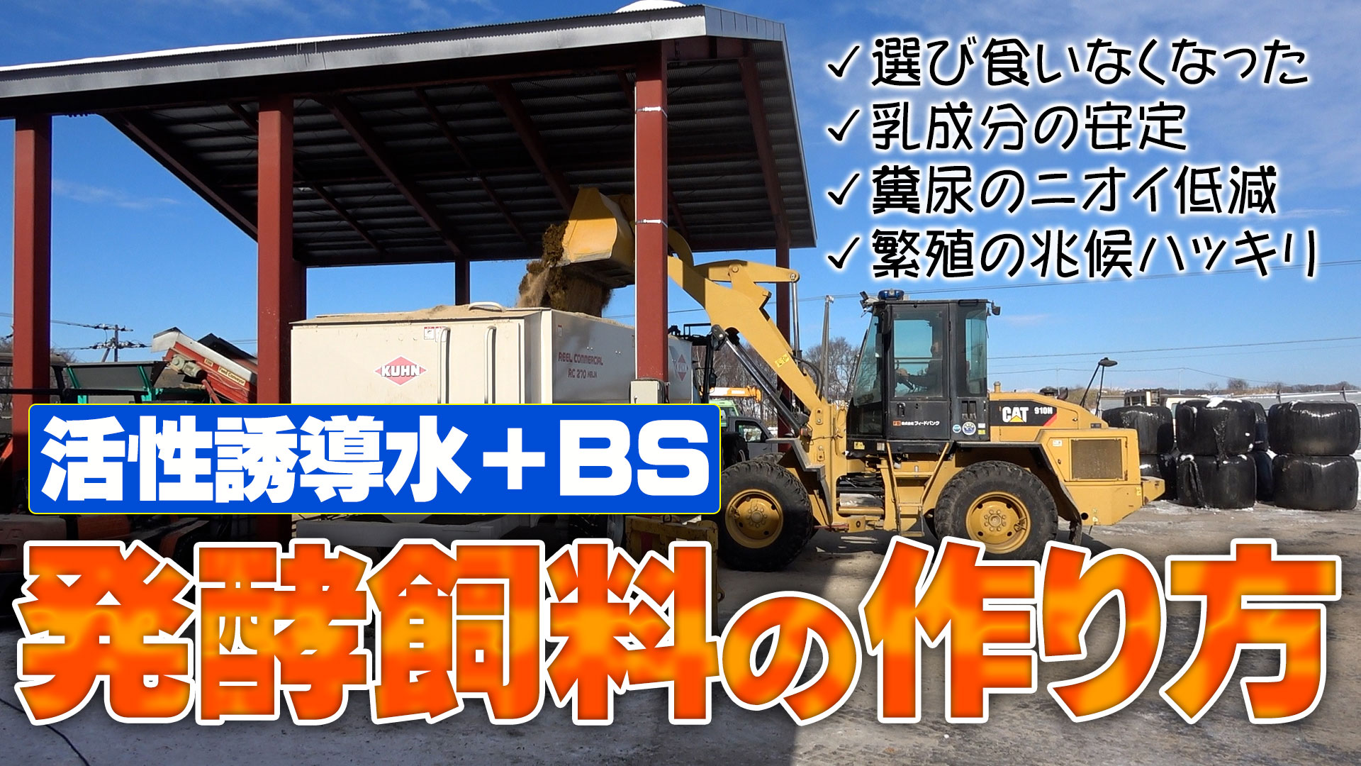 【効果や良さは？】活性誘導水＋BSを使った発酵飼料の作り方【DNW338】