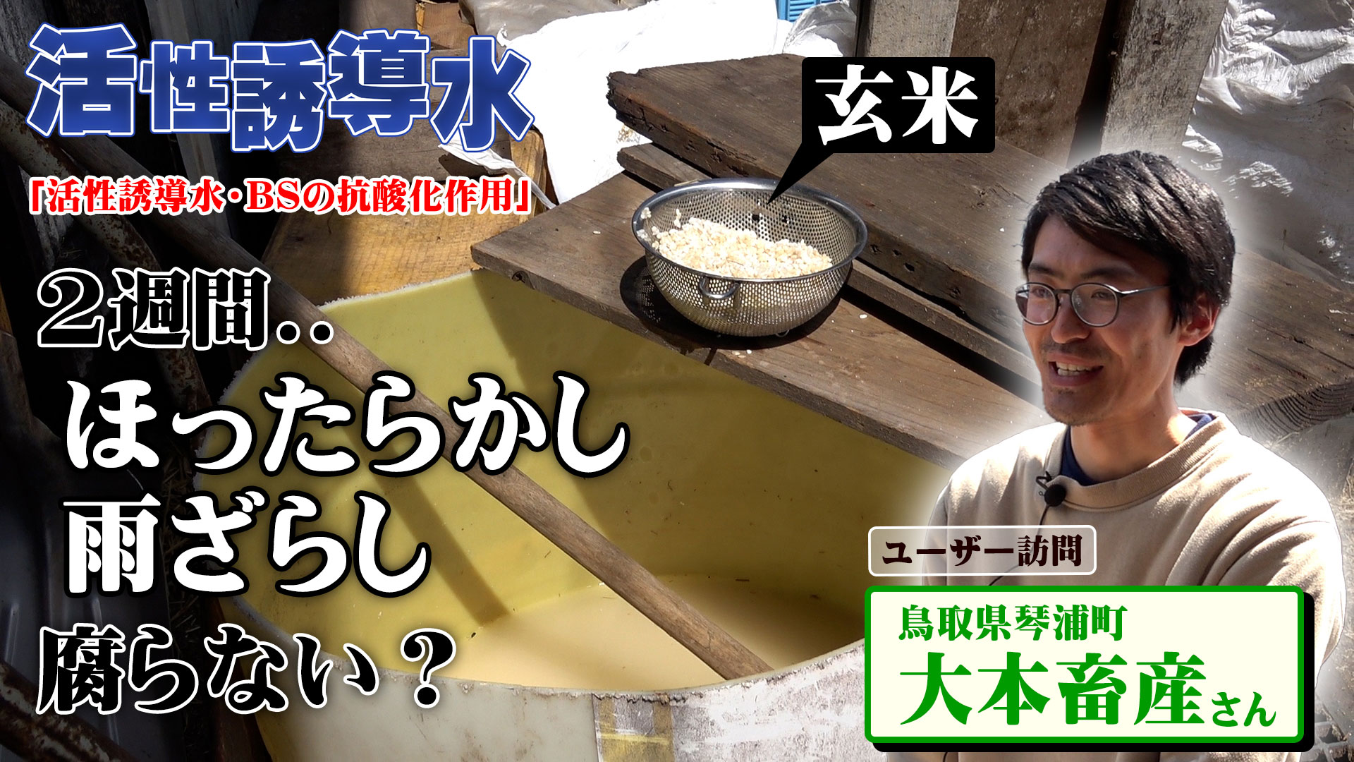 【抗酸化】2週間も放置？雨ざらしでも腐らない玄米とは【DNW344】