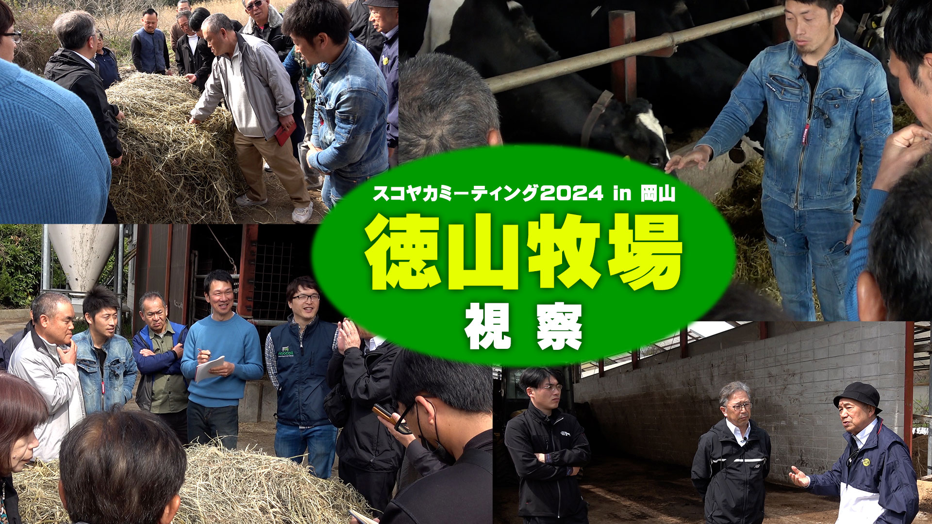 【牧場視察】岡山県美星町・徳山牧場～スコヤカミーティング2024in岡山【DNW346】