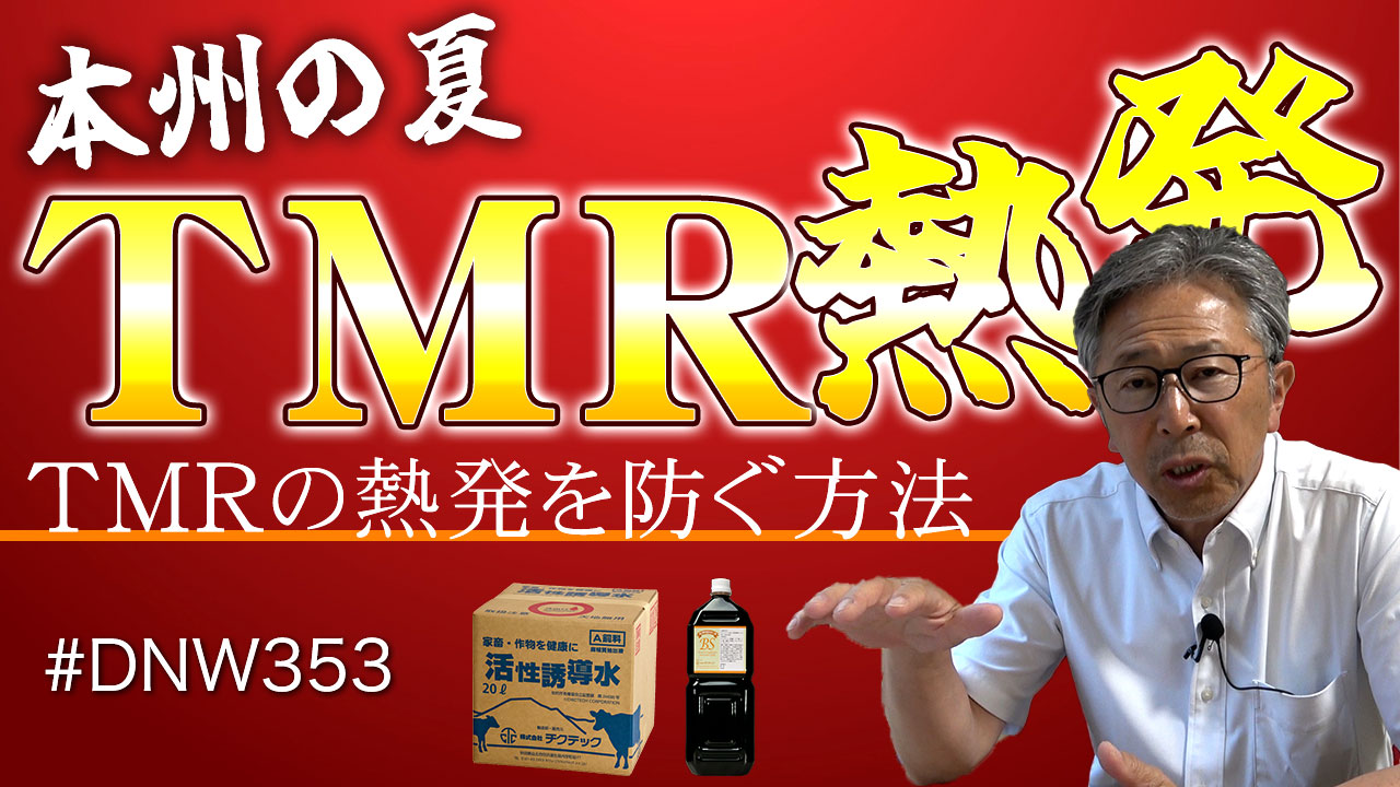 【本州の夏】TMRの熱発を防ぐ方法【DNW353】