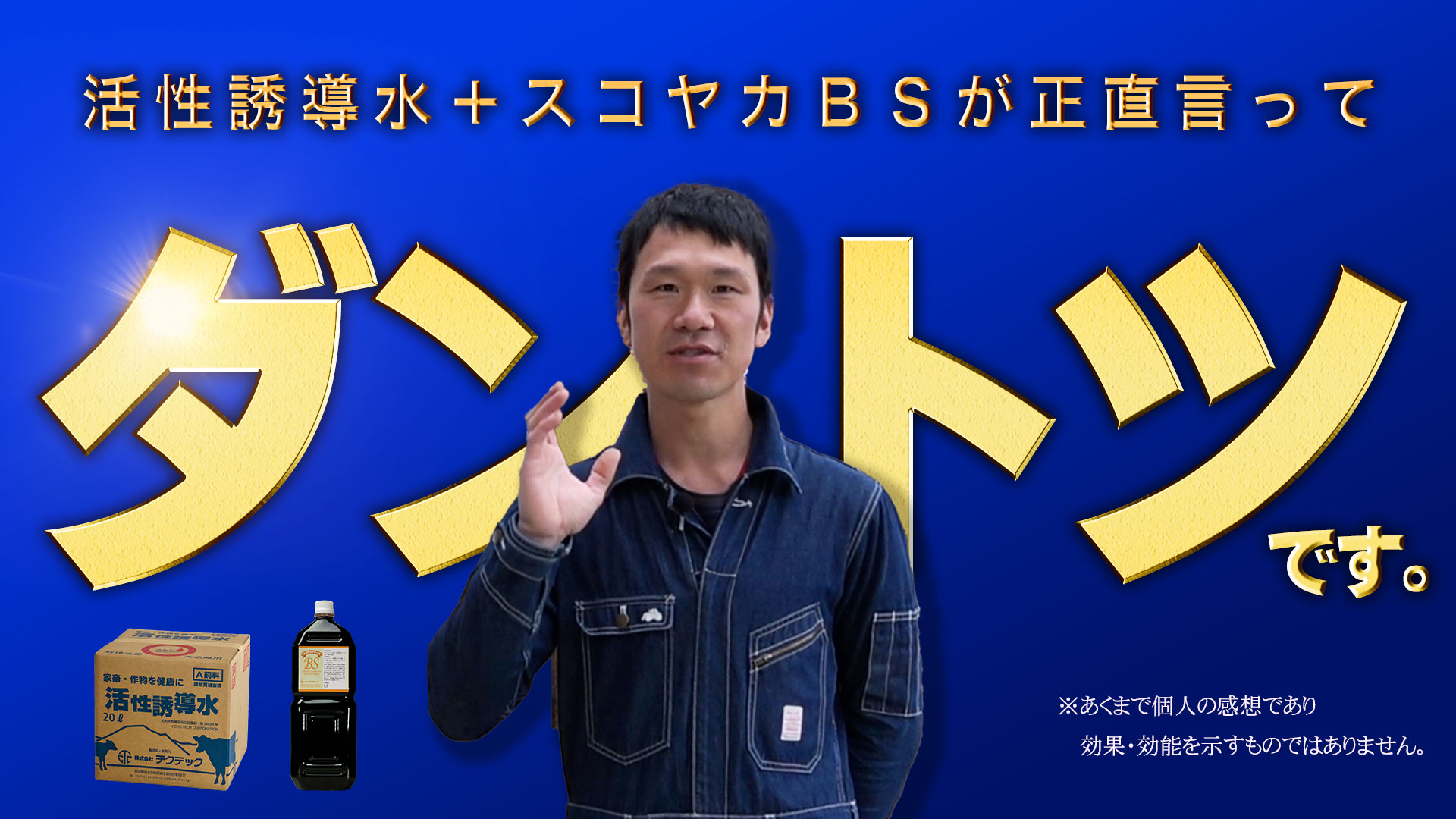 活性誘導水＋スコヤカBSがダントツ【DNW351】