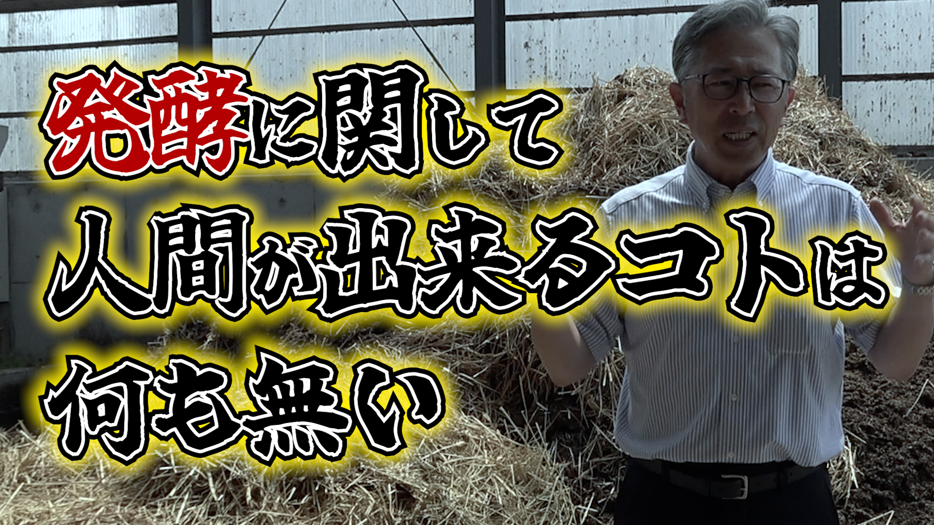 発酵堆肥は宝物！食べさせた餌の結果は？【DNW355】
