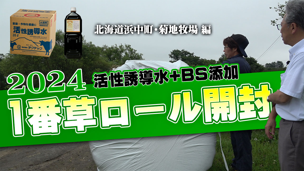 【2024年1番草ロール開封】北海道・菊地牧場 編【DNW356】