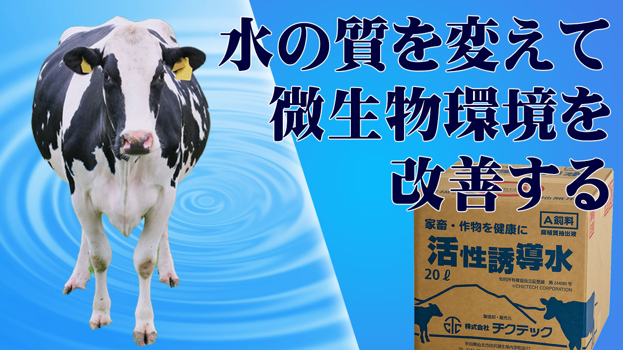 まずは水の質を変え微生物の環境を改善する【DNW354】