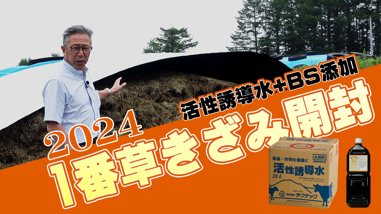 2024年1番草きざみサイレージ開封【DNW359】