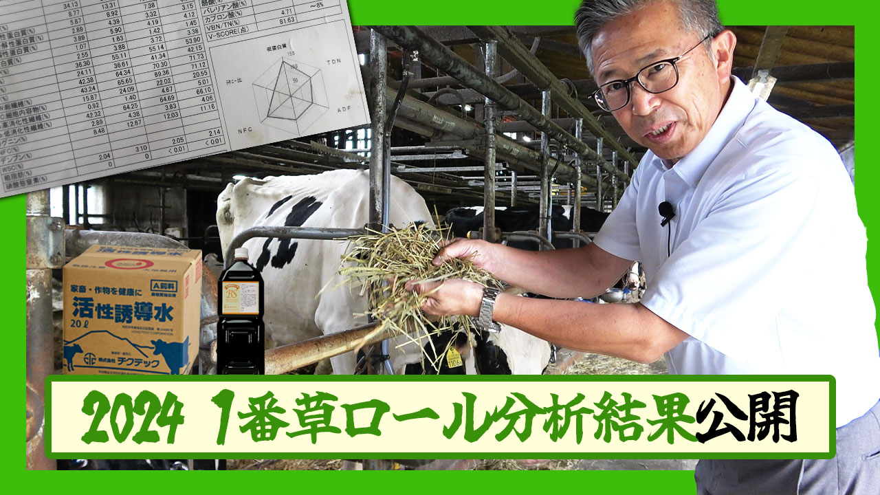 【2024】1番草ロール分析結果 公開【DNW360】
