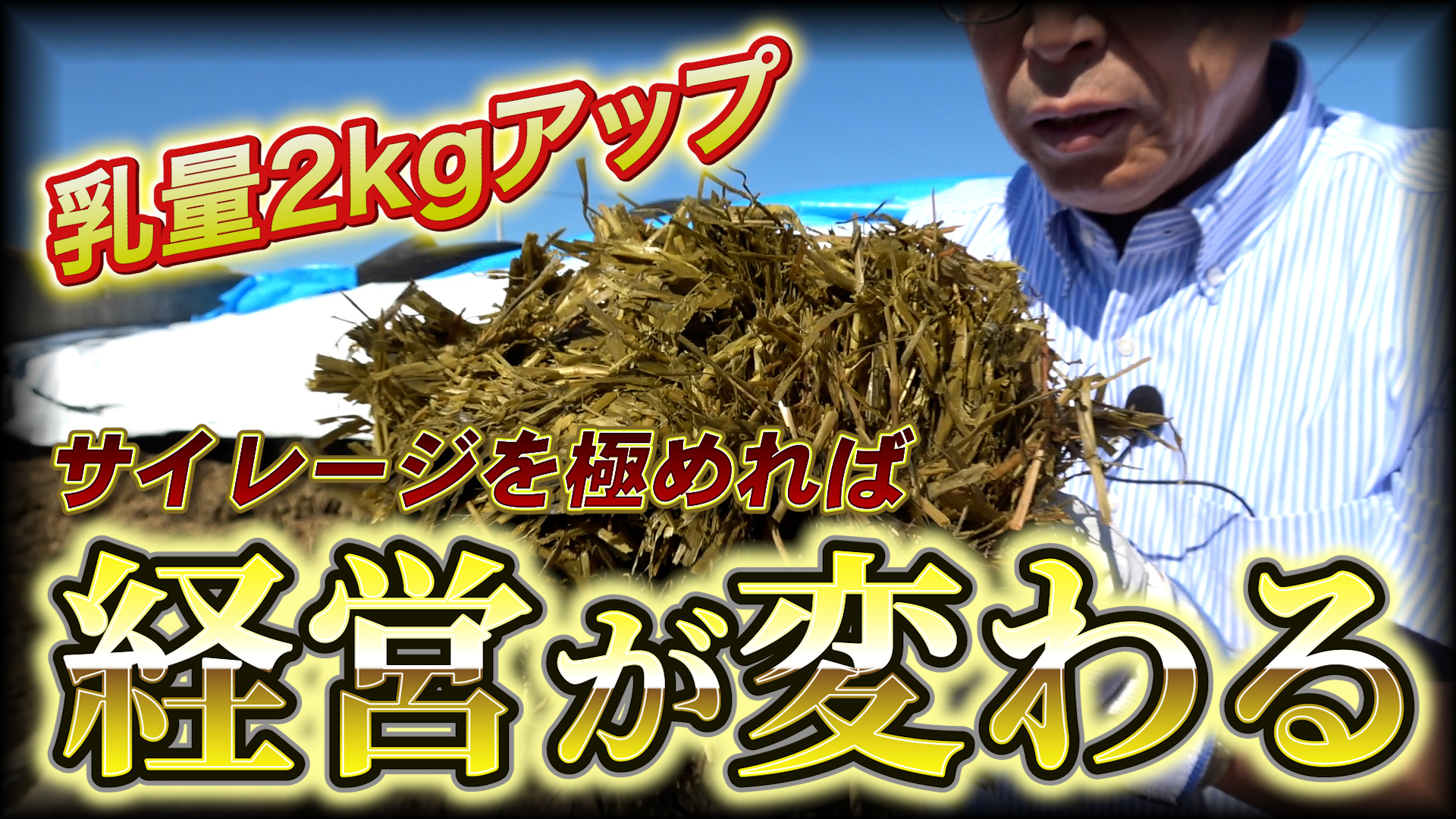 【乳量2kgアップ】サイレージを極めれば経営が変わる！【DNW366】