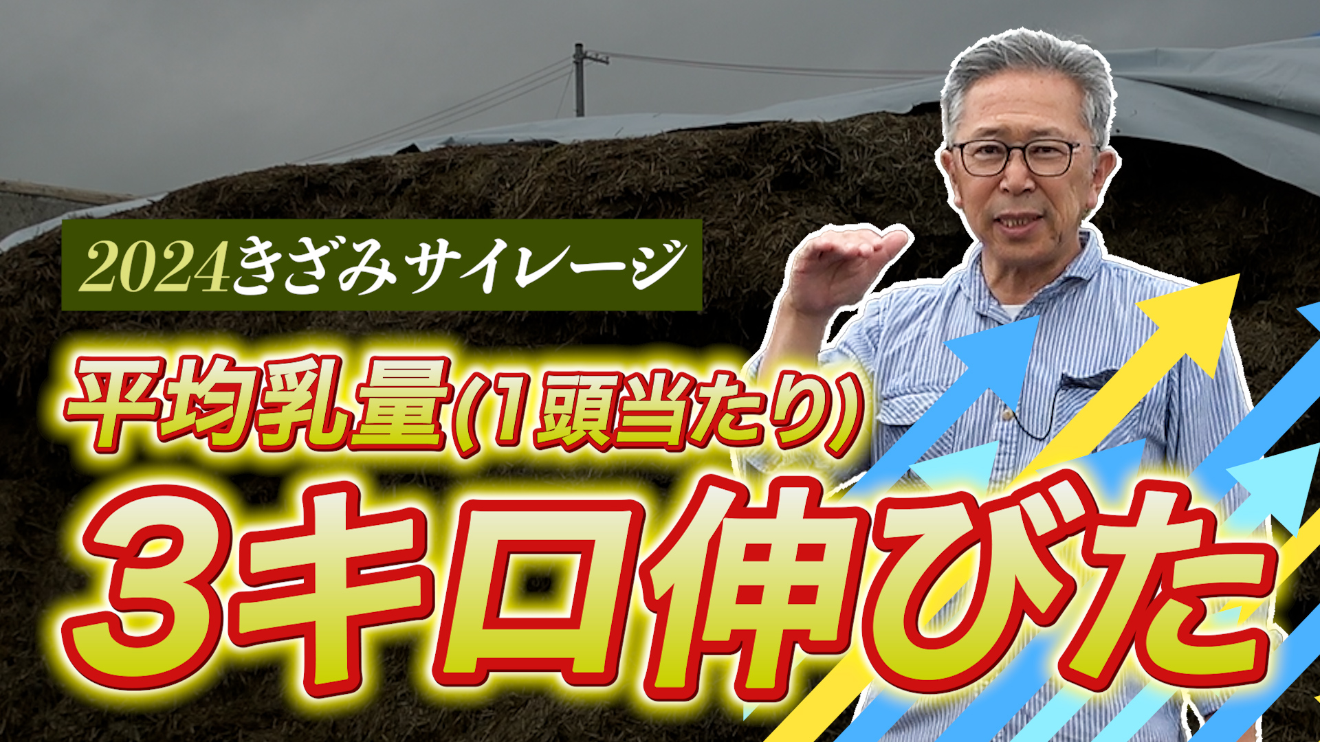 【2024きざみサイレージ開封】健康になるサイレージづくりとは？_DNW367