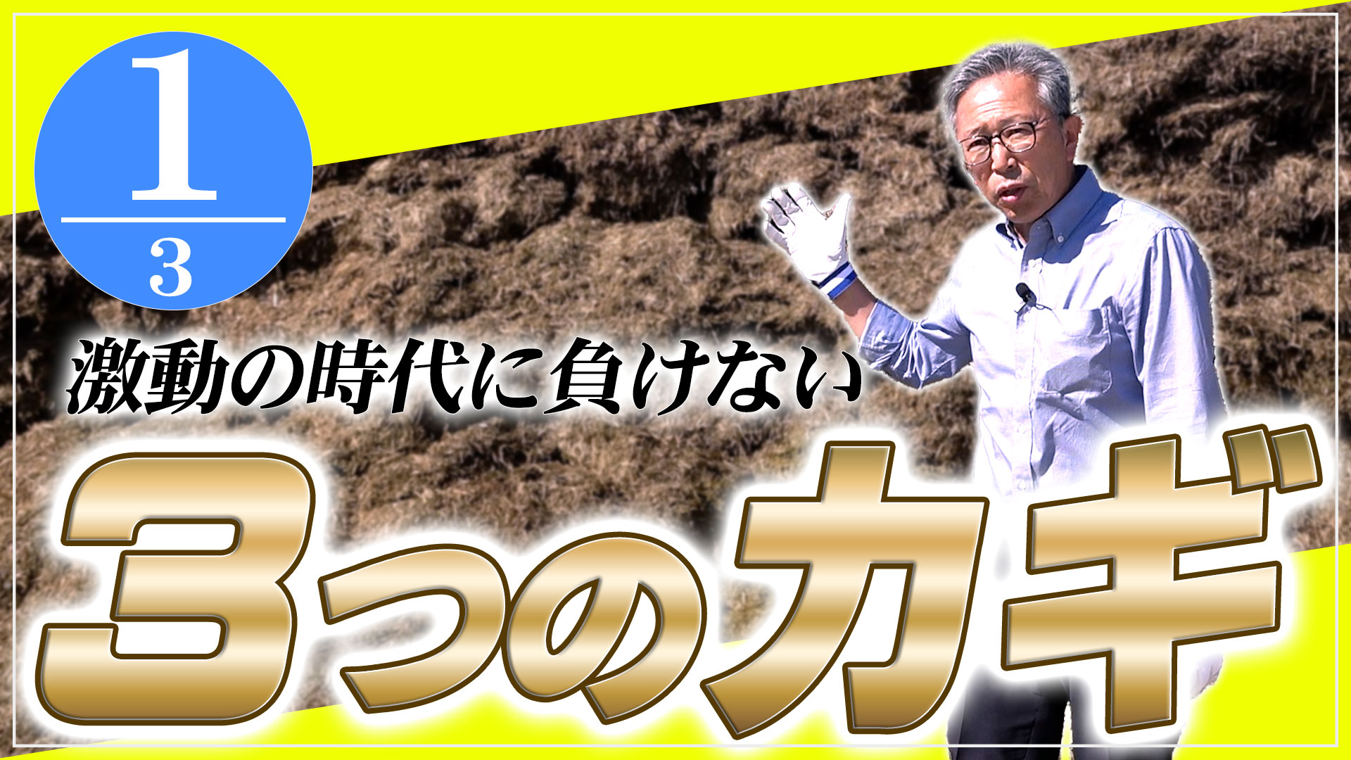 激動の時代に負けない3つのカギ-Part1【DNW368】