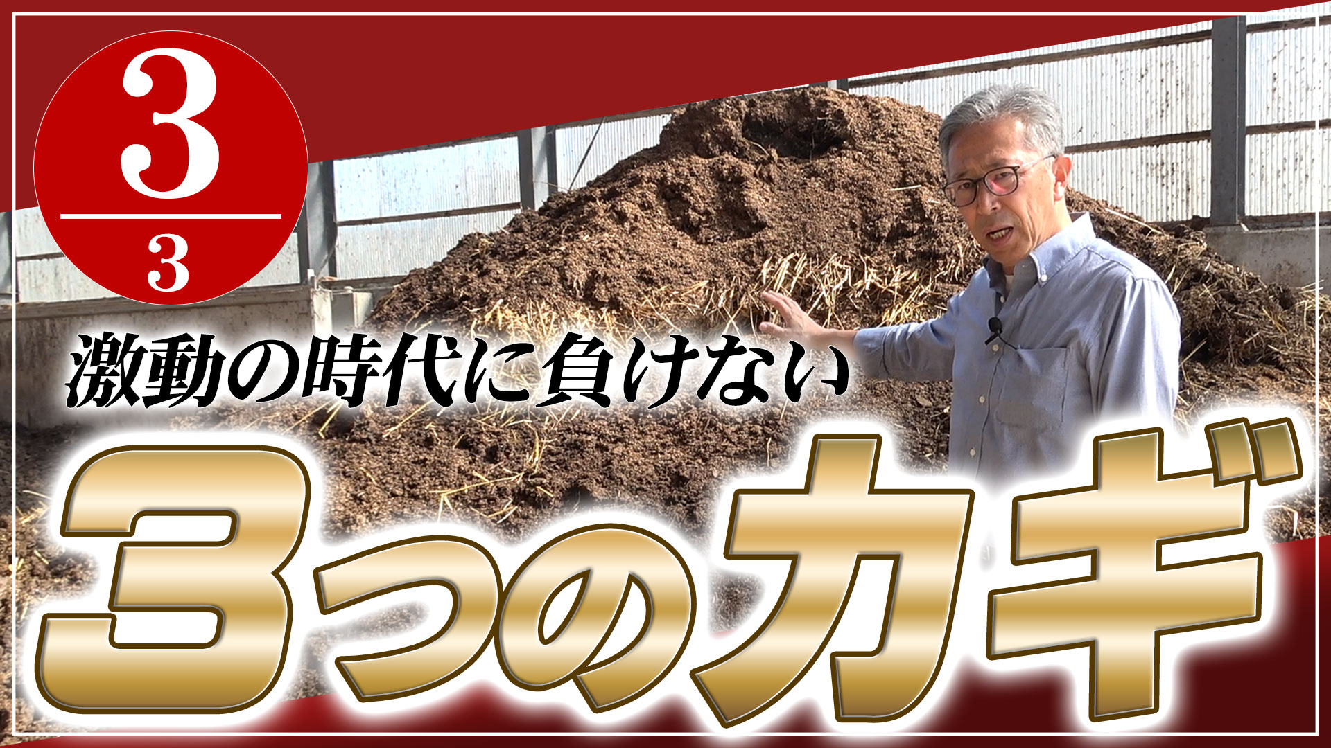 【ラスト】激動の時代に負けない3つのカギ-Part3【DNW370】