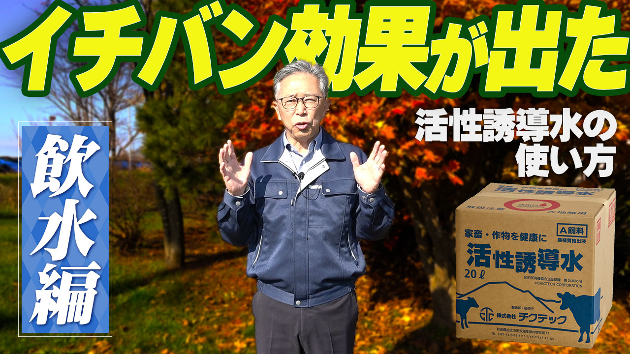 【飲水編】イチバン効果の出る活性誘導水の使い方①【DNW371】