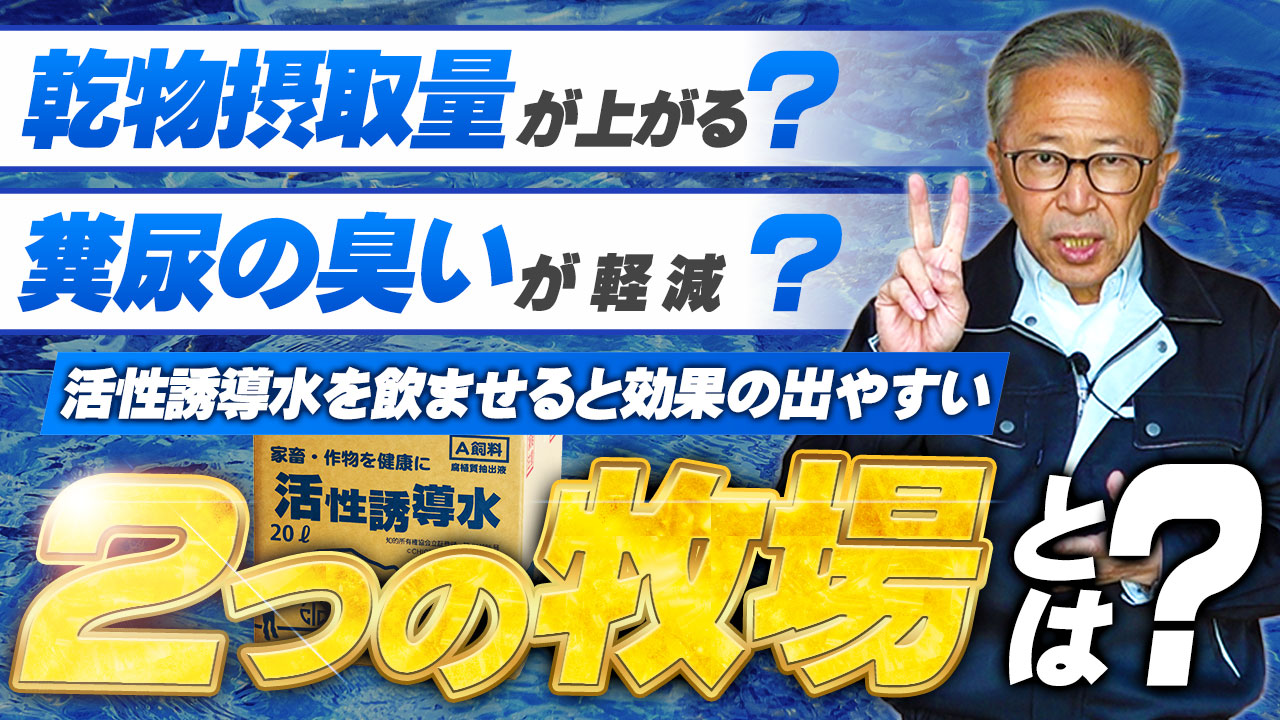 【飲水編】効果的の出やすい2つの牧場とは？【DNW372】