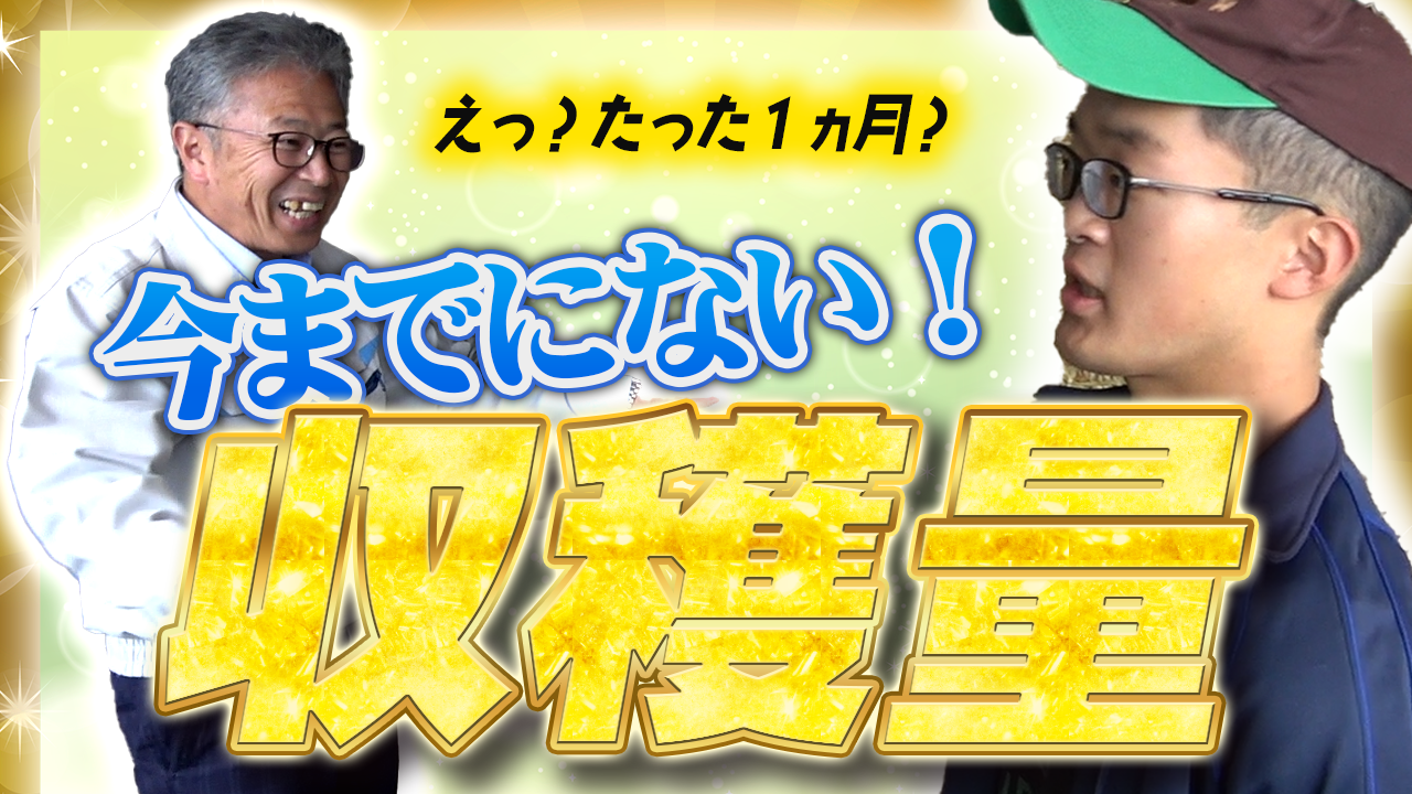 【ロールサイレージ】かつてない豊作と栄養価！その秘密は..【DNW374】