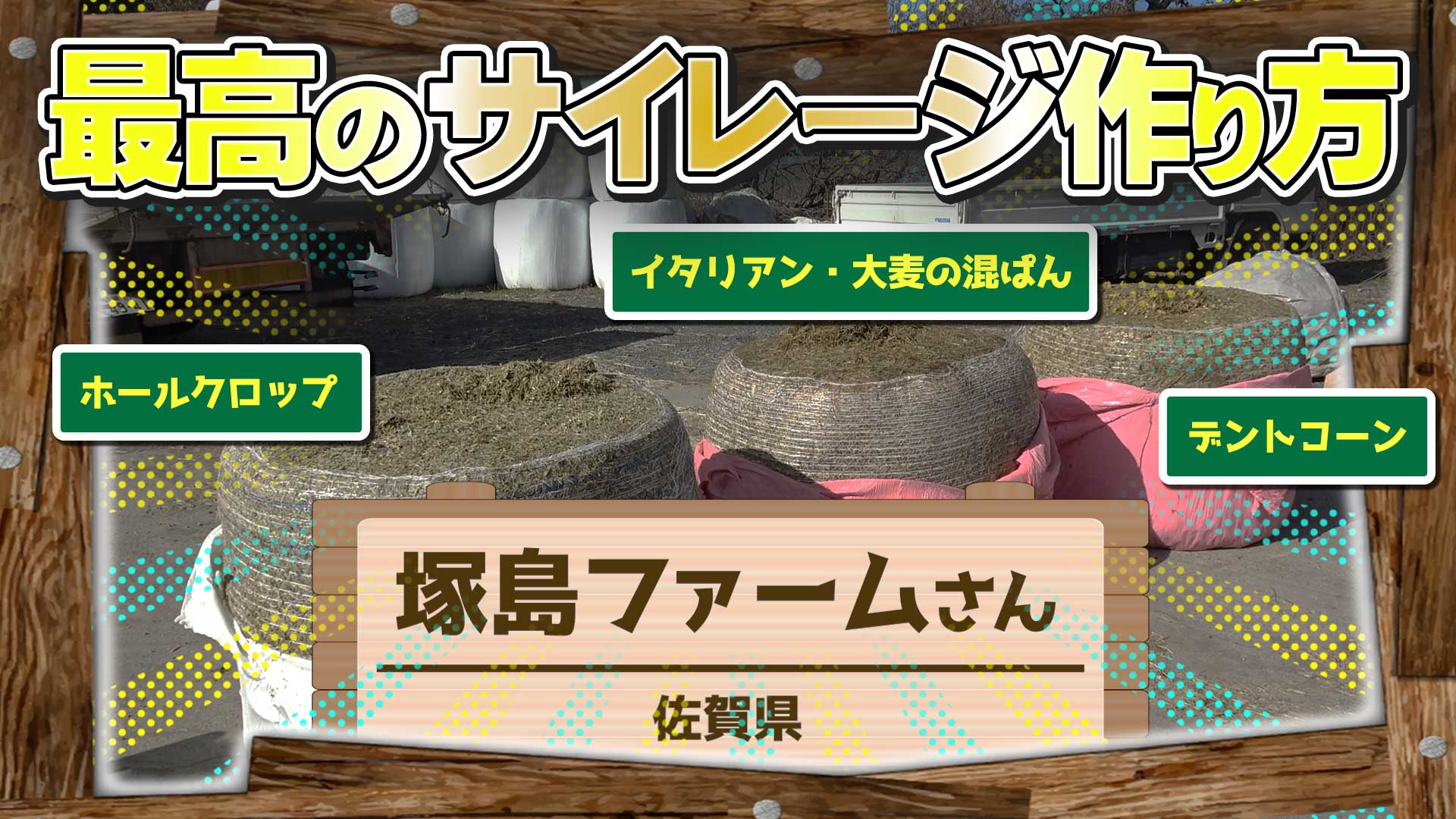 【2025年に向け】最高サイレージの作り方！【DNW377】