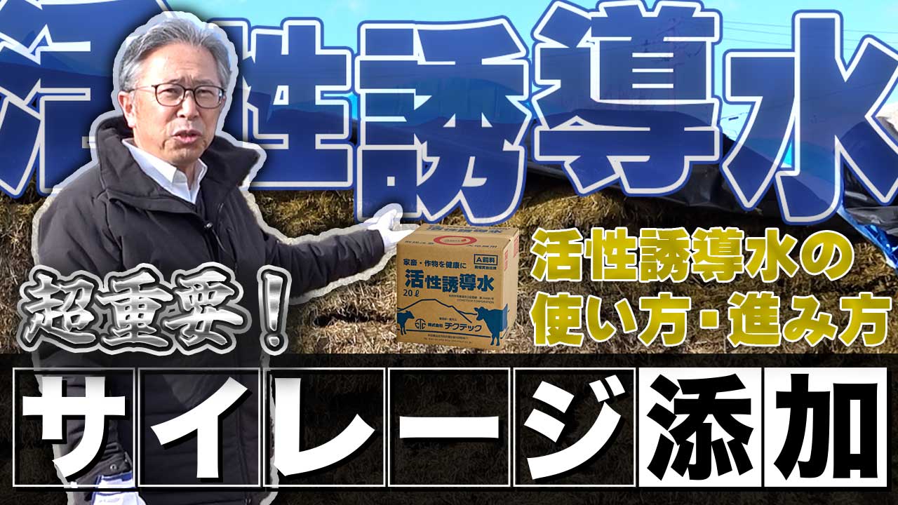 超重要！飲水の次はサイレージ添加【DNW381】