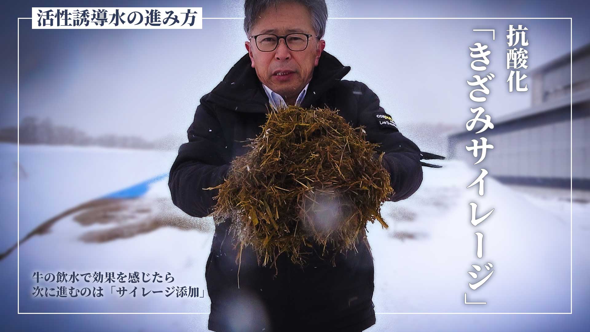 抗酸化きざみサイレージの作り方【DNW382】