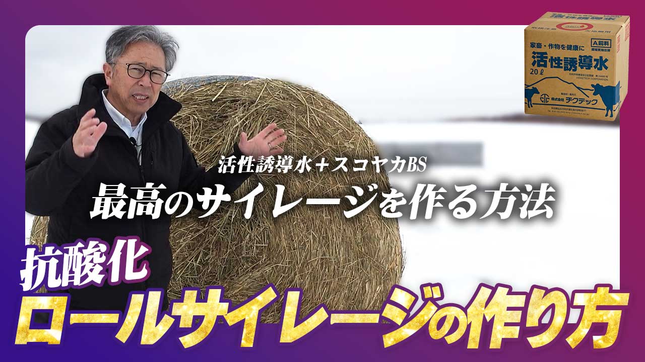 抗酸化ロールサイレージの作り方【DNW383】
