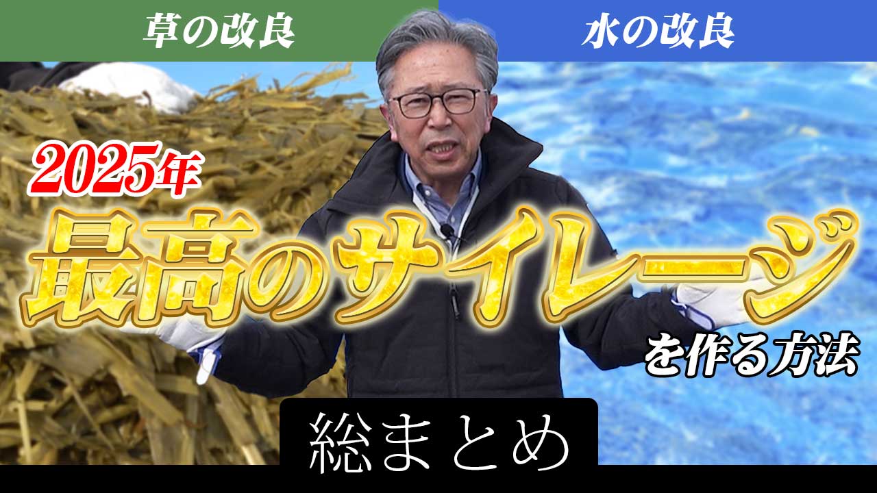 2025年最高のサイレージの作り方〜総まとめ【DNW384】
