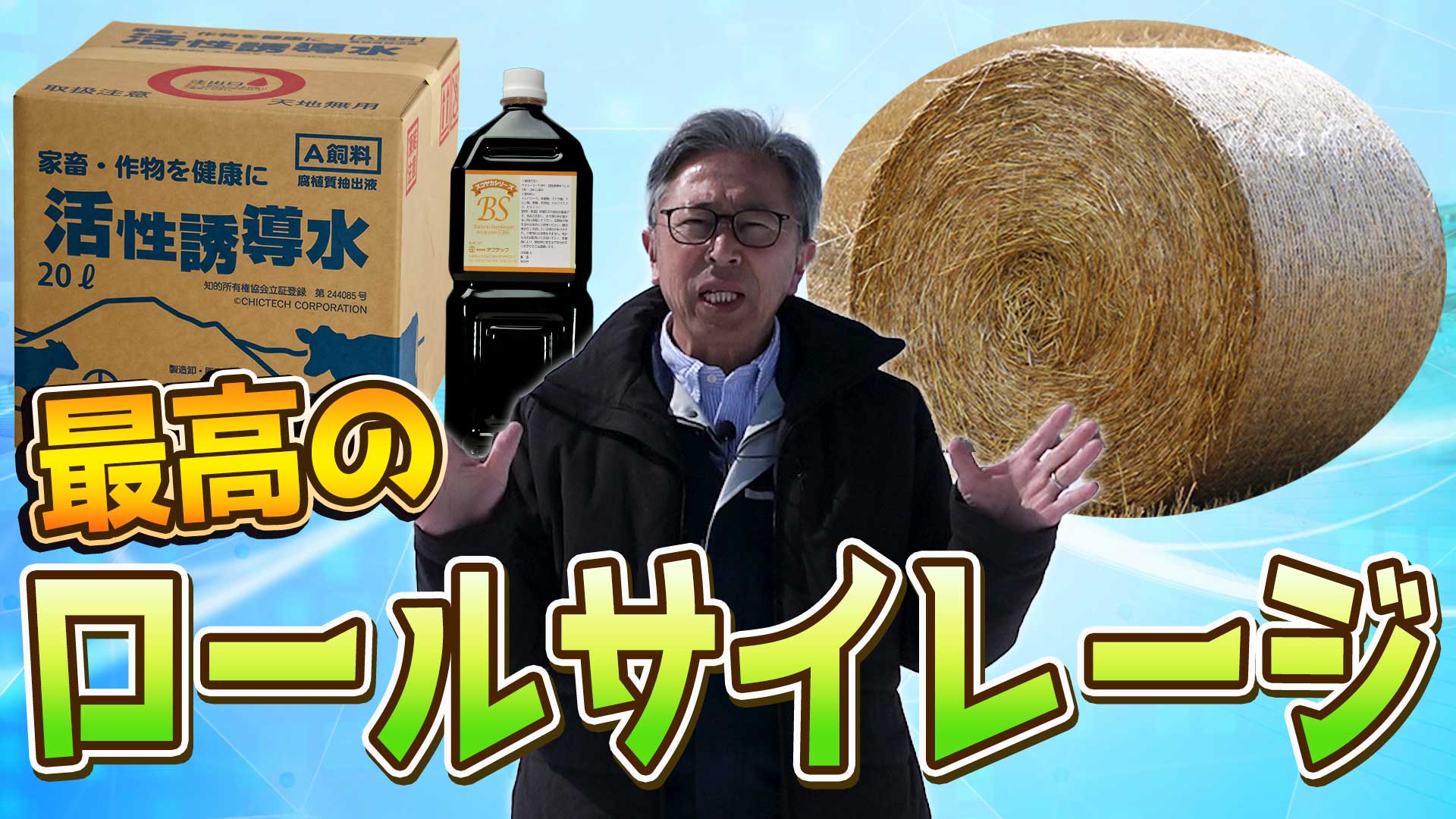 【2025・1番牧草・収穫目前】最高のロールサイレージを作ろう！【DNW387】