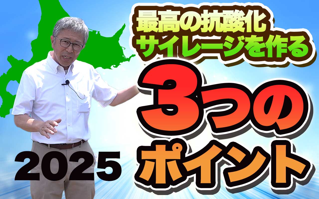 【1番牧草収穫目前】最高の抗酸化サイレージを作る3つのポイント【DNW393】