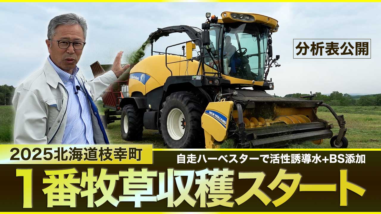 【2025年1番牧草収穫】自走ハーベスターで活性誘導水・BSを添加〜北海道枝幸町・米内牧場【DNW395】