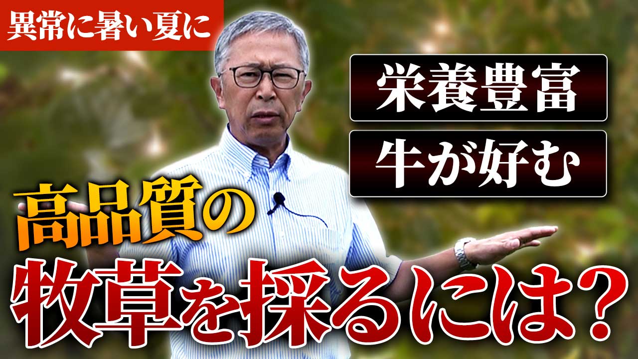 【異常な暑さ】牛が好む牧草を採るにはどうしたらいい？【DNW397】