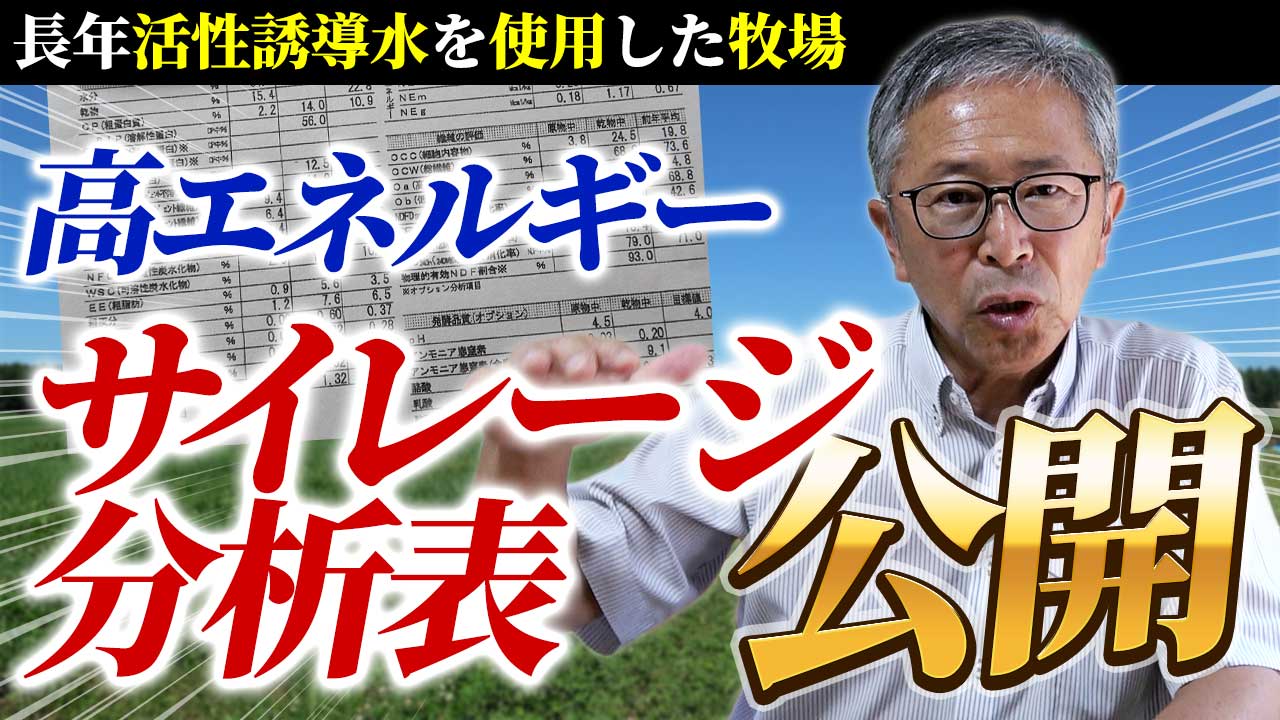 【大公開】天候に左右されない高エネルギーサイレージ分析表【DNW399】