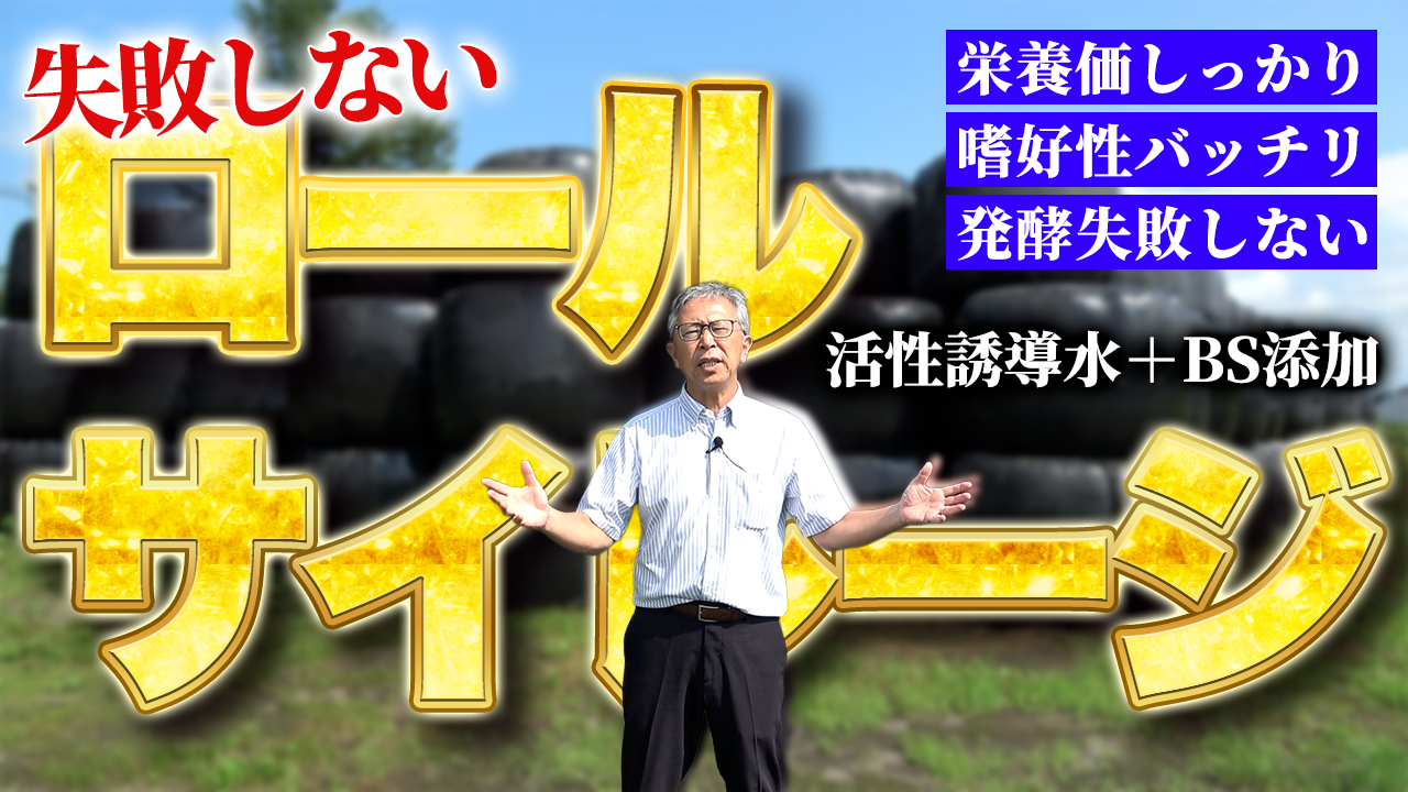 活性誘導水＋BS添加のロールサイレージについて【DNW401】