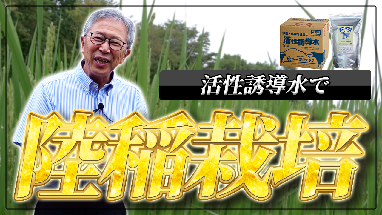 【途中経過】活性誘導水を使った陸稲栽培実証実験【DNW403】