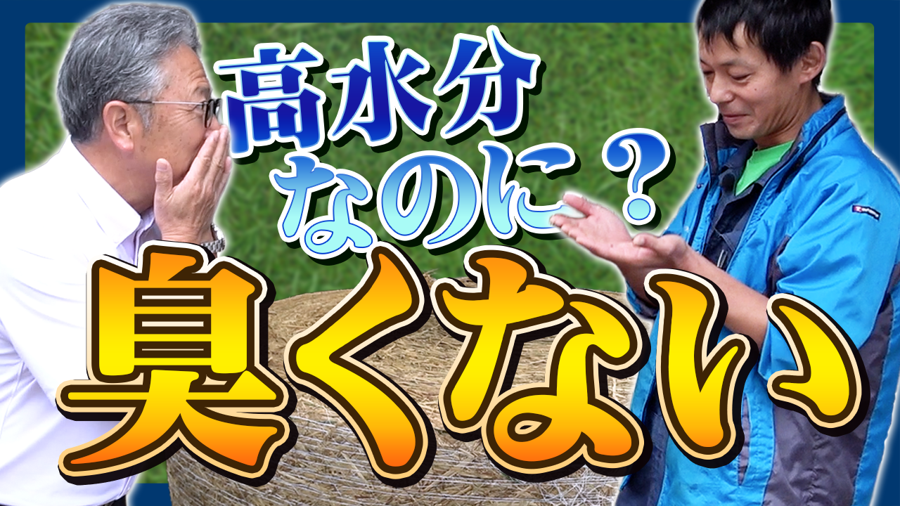 【開けてびっくり！】初めて高水分ロールに誘導水・BSを添加してみたら...【DNW406】