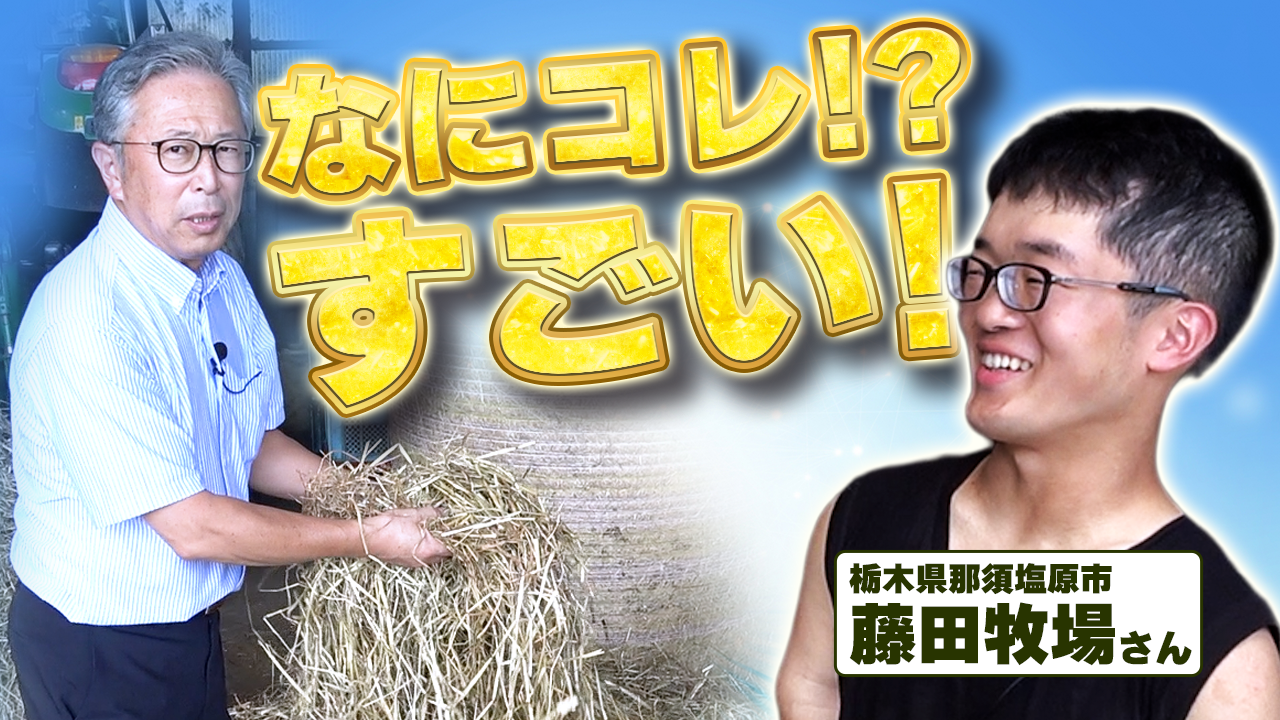 【那須塩原・藤田牧場】美味い自給飼料でふん尿改善！増収減肥！なんでそうなるの？