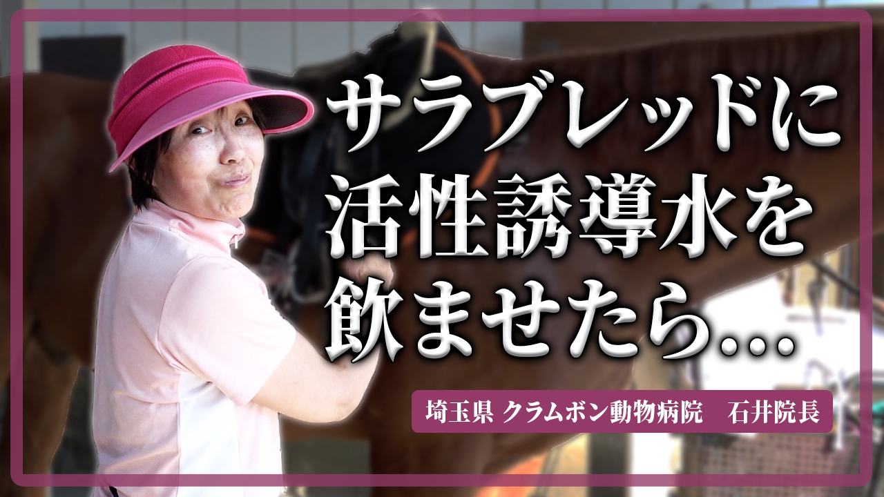 サラブレッドに活性誘導水を飲ませてみたら どうなった？【DNW409】