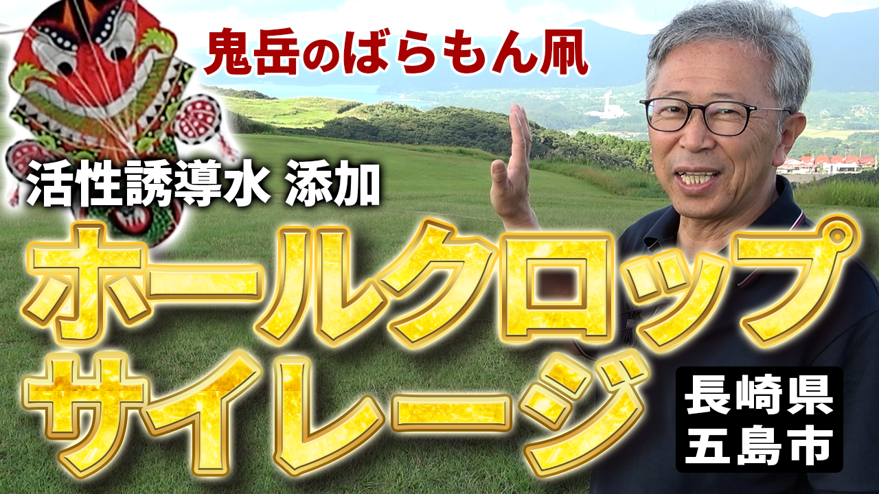 【長崎県五島市】鬼岳のばらもん凧と活性誘導水ホールクロップ【DNW411】