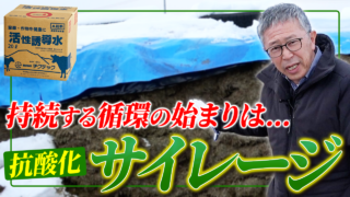 持続する循環は抗酸化サイレージから始まる【DNW416】