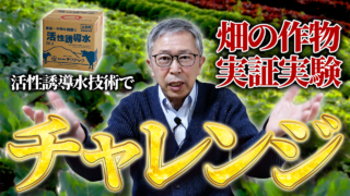 2026新たなチャンレンジ！活性誘導水技術で畑の作物 実証実験やります！【DNW417】