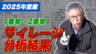 【2025年度産】1番草・2番草サイレージの分析結果発表！【DNW419】