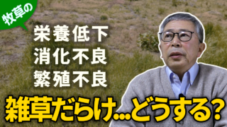 どうする？牧草の栄養低下・消化不良・繁殖不良・雑草だらけ！【DNW418】