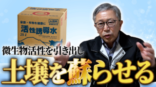 活性誘導水で微生物活性を引き出し土を甦らせる【DNW423】