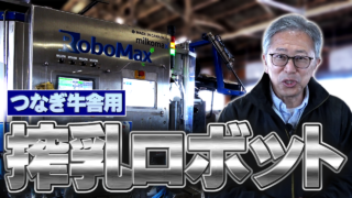 【北海道枝幸町】つなぎ牛舎用搾乳ロボット見てきました！【DNW424】